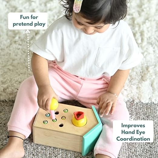 Kidsgallerynx | Curious Cub Montessori Learning Wooden Toys Box 6: 1 Year+ | Child Development, Sensory Learning, Fine Motor Skills | Problem Solving, Builds Hand-Eye Coordination | Brain Development